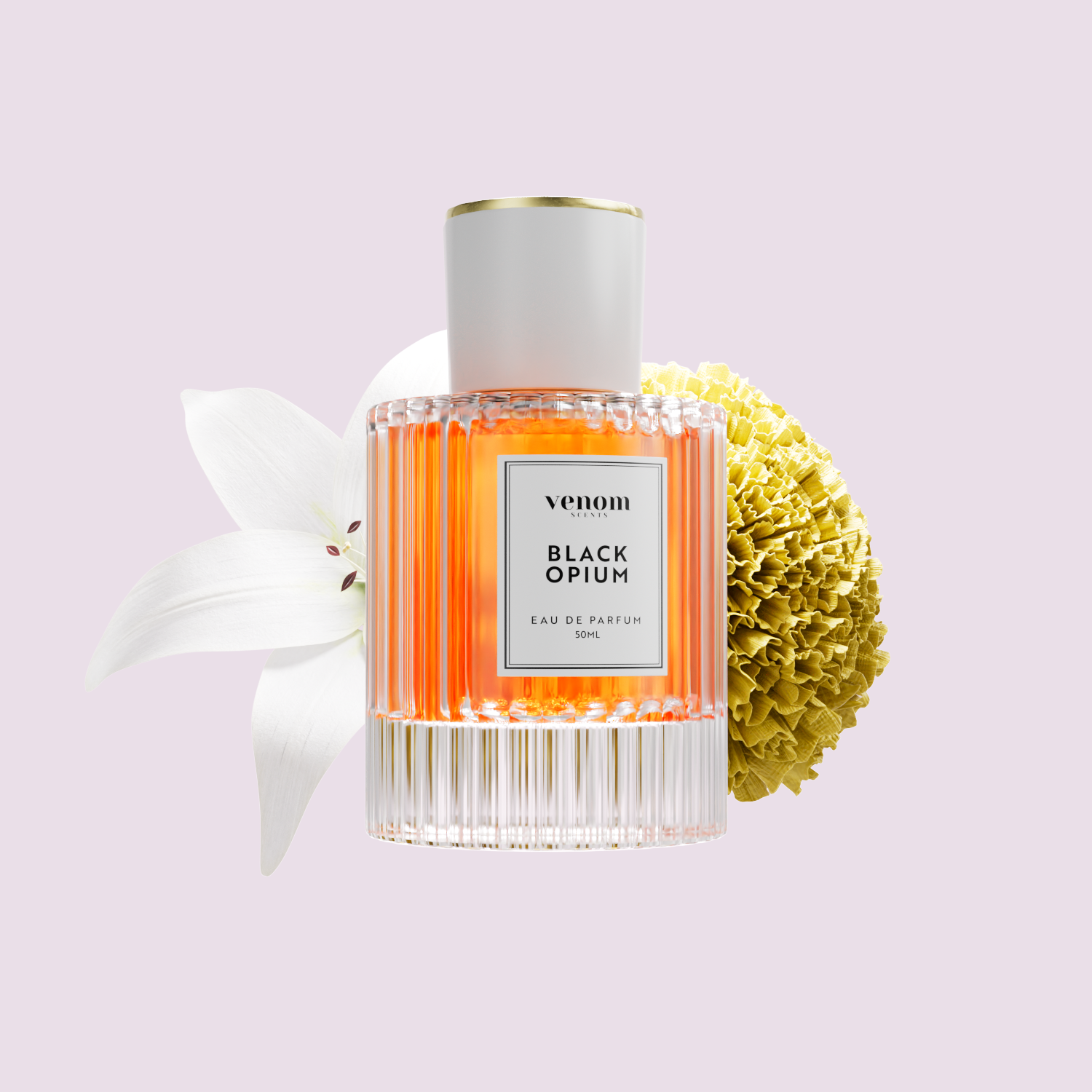 Collection de Parfums en Spray 50 ML
