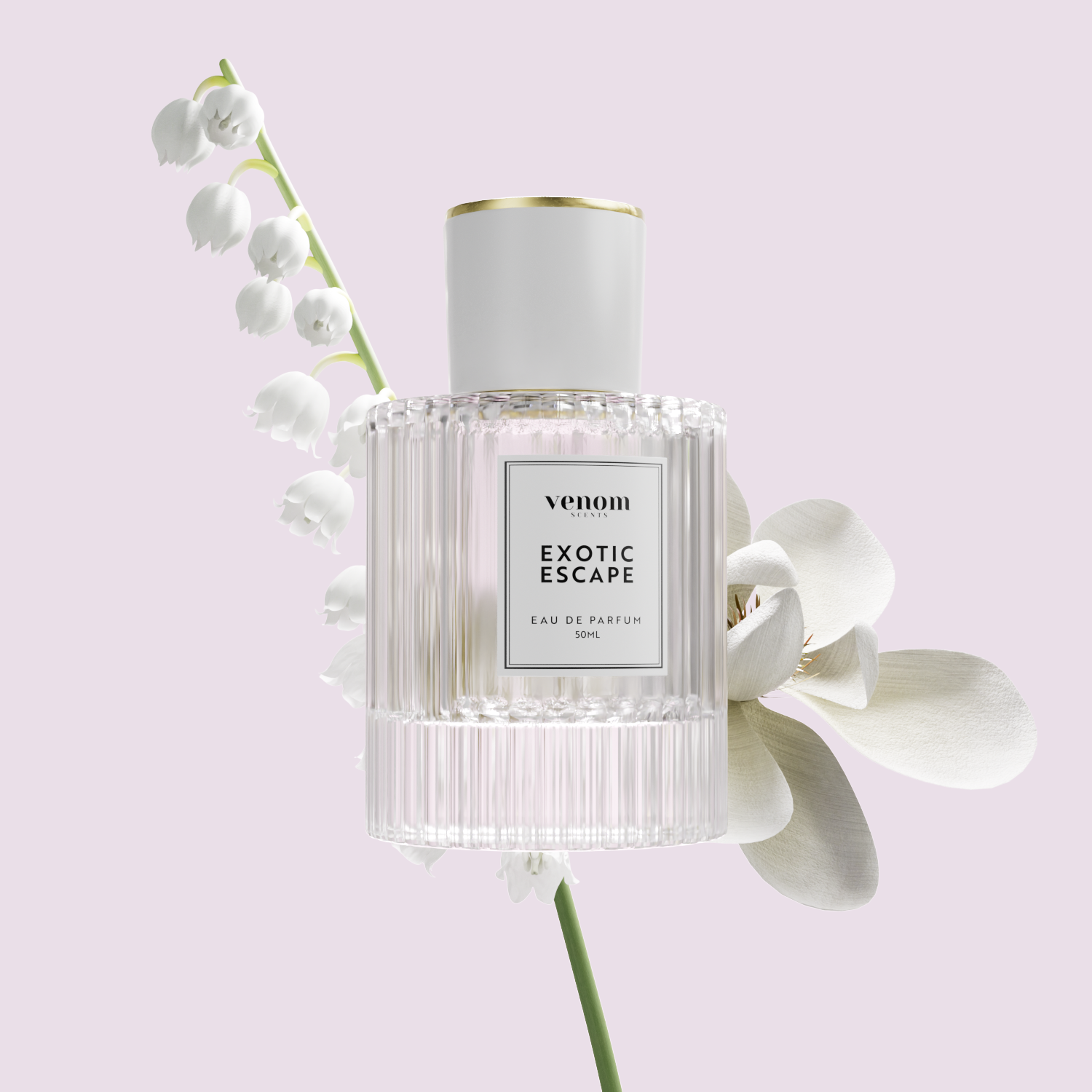 Collection de Parfums en Spray 50 ML